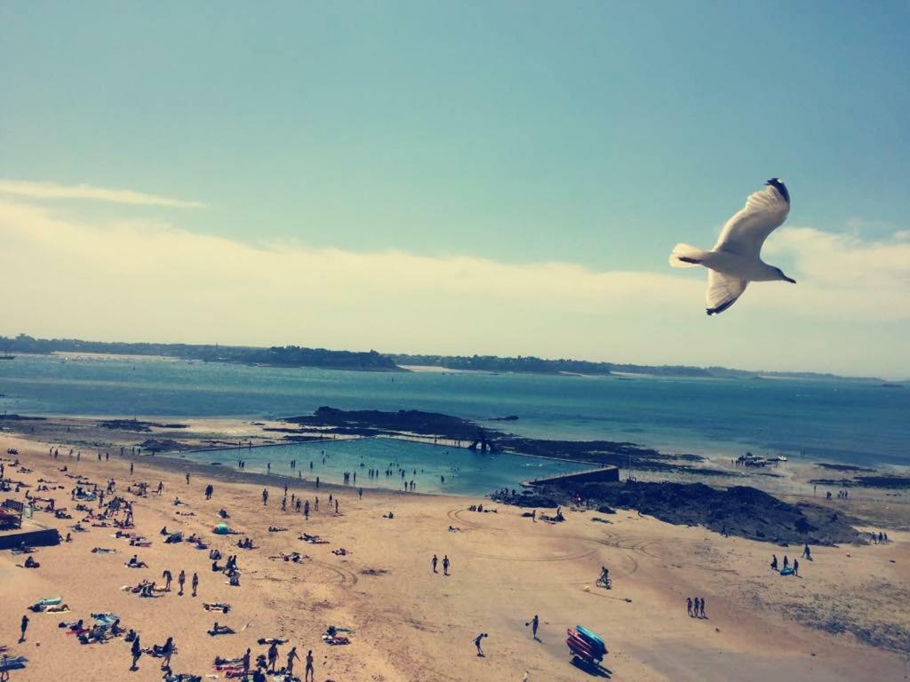 Charmant Appartement Saint Malo Saint Servan ภายนอก รูปภาพ